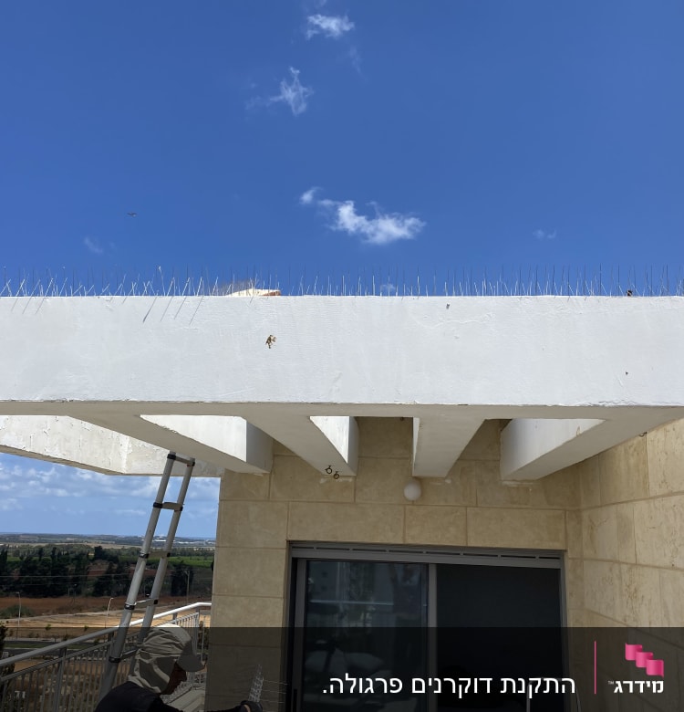 דוקרנים על גג למניעת קינון יונים